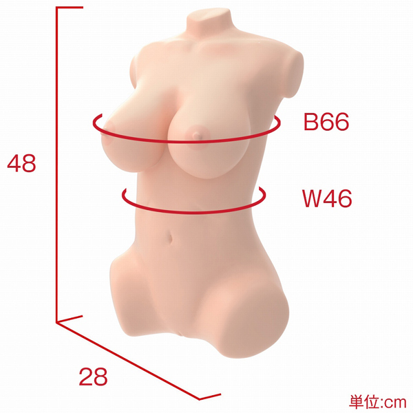 {A{fB{Rc{[VXe@iO}X{fBDޏ݁j