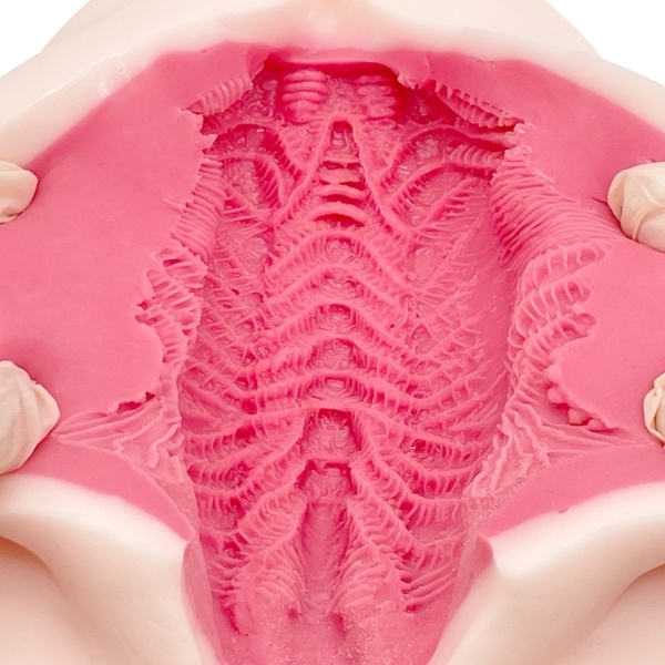 Iiydqn@GWFf`k@iCi[\tgj