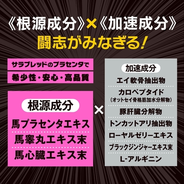 XgOc@nvZ^@hN@͓@|p[\ixXg|